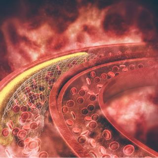 Azione brucia-grassi naturale